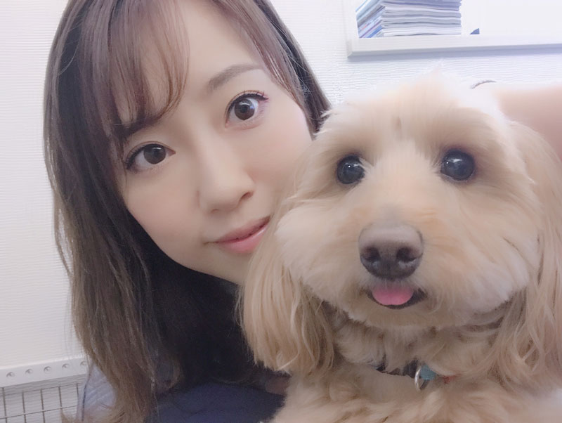 実家の愛犬と