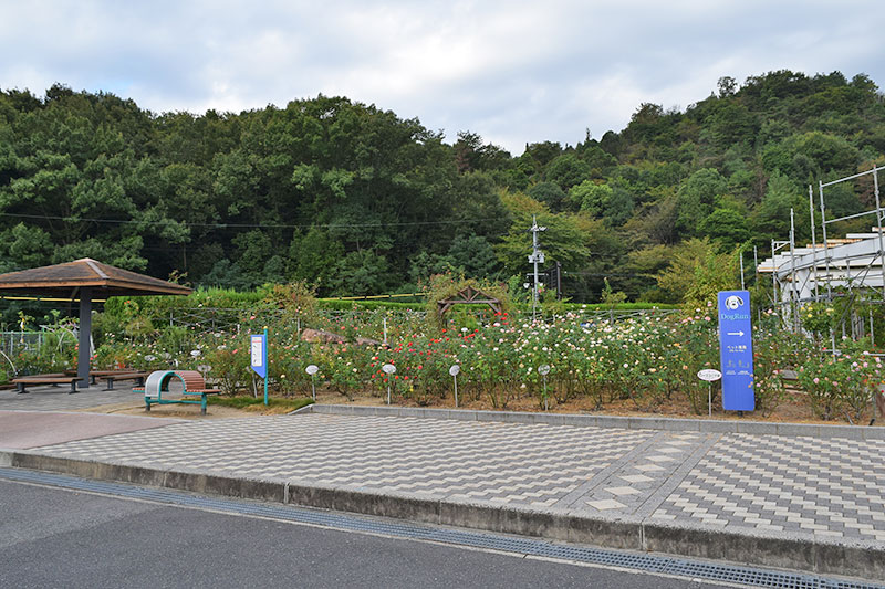 バラ園もある