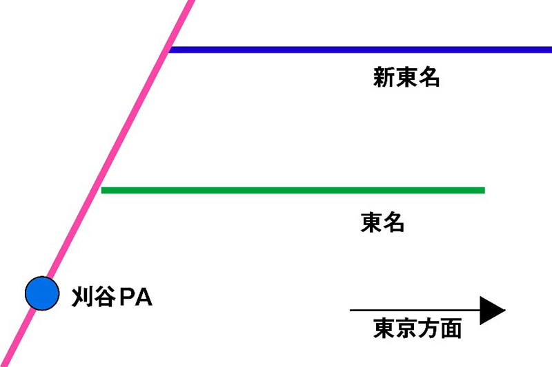 分岐に迷う
