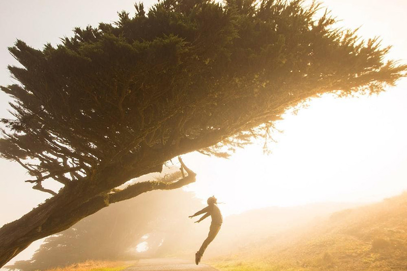 会社のDXに付き合う必要はない