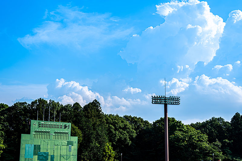 古き良き（？）ボールパークを求めて