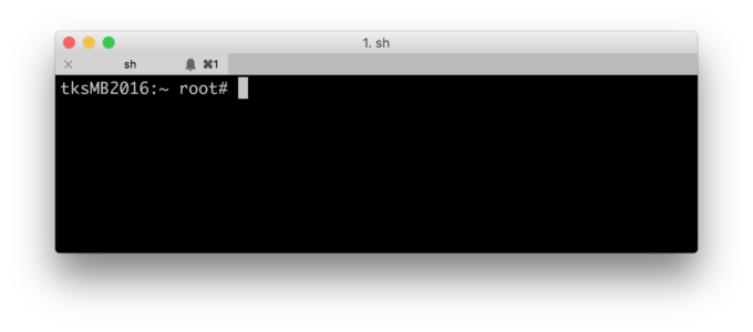 サーバーに接続するためのターミナル、黒い画面