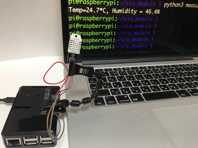 step1の実行結果