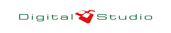 株式会社デジタルスタジオ ロゴ
