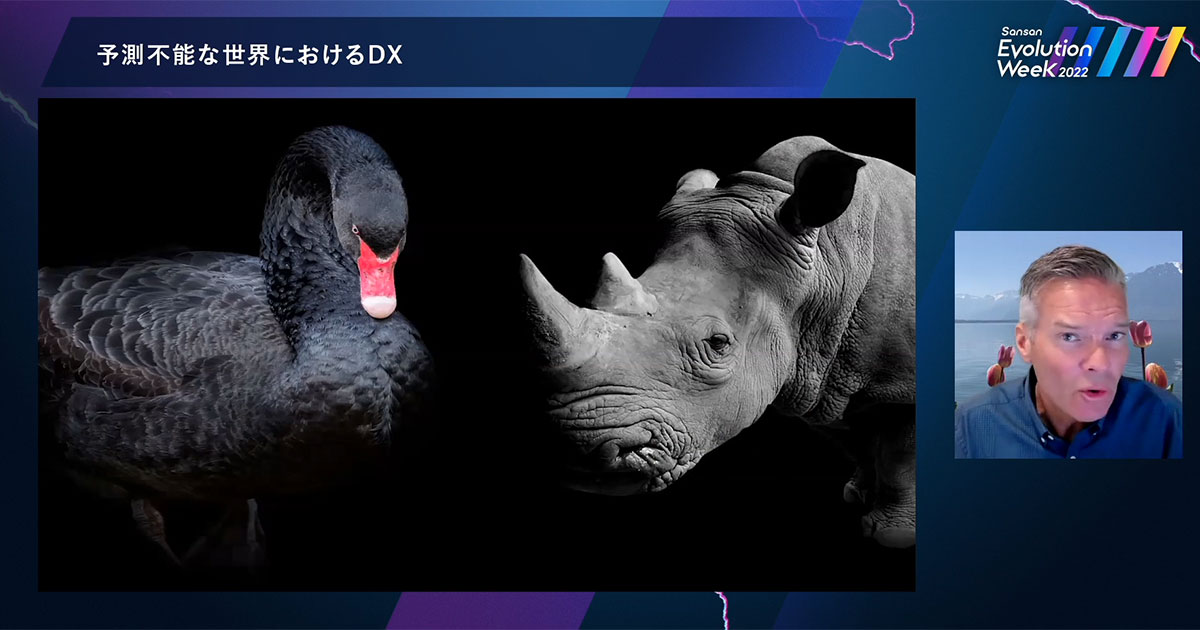 ブラックスワンと灰色のサイ