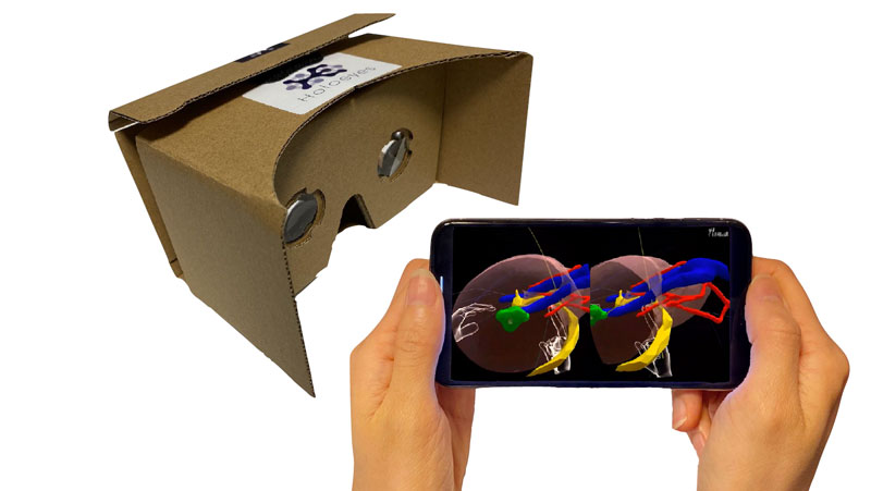 (Holoeyesはスマートフォンや数百円のダンボールゴーグルでも使用できる)