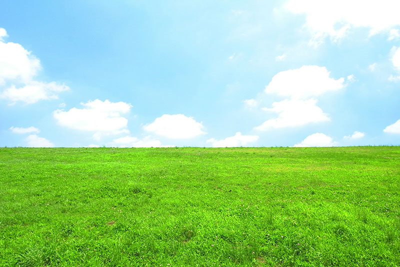 30歳で隣の芝生が青く光り輝きだして転職を決意