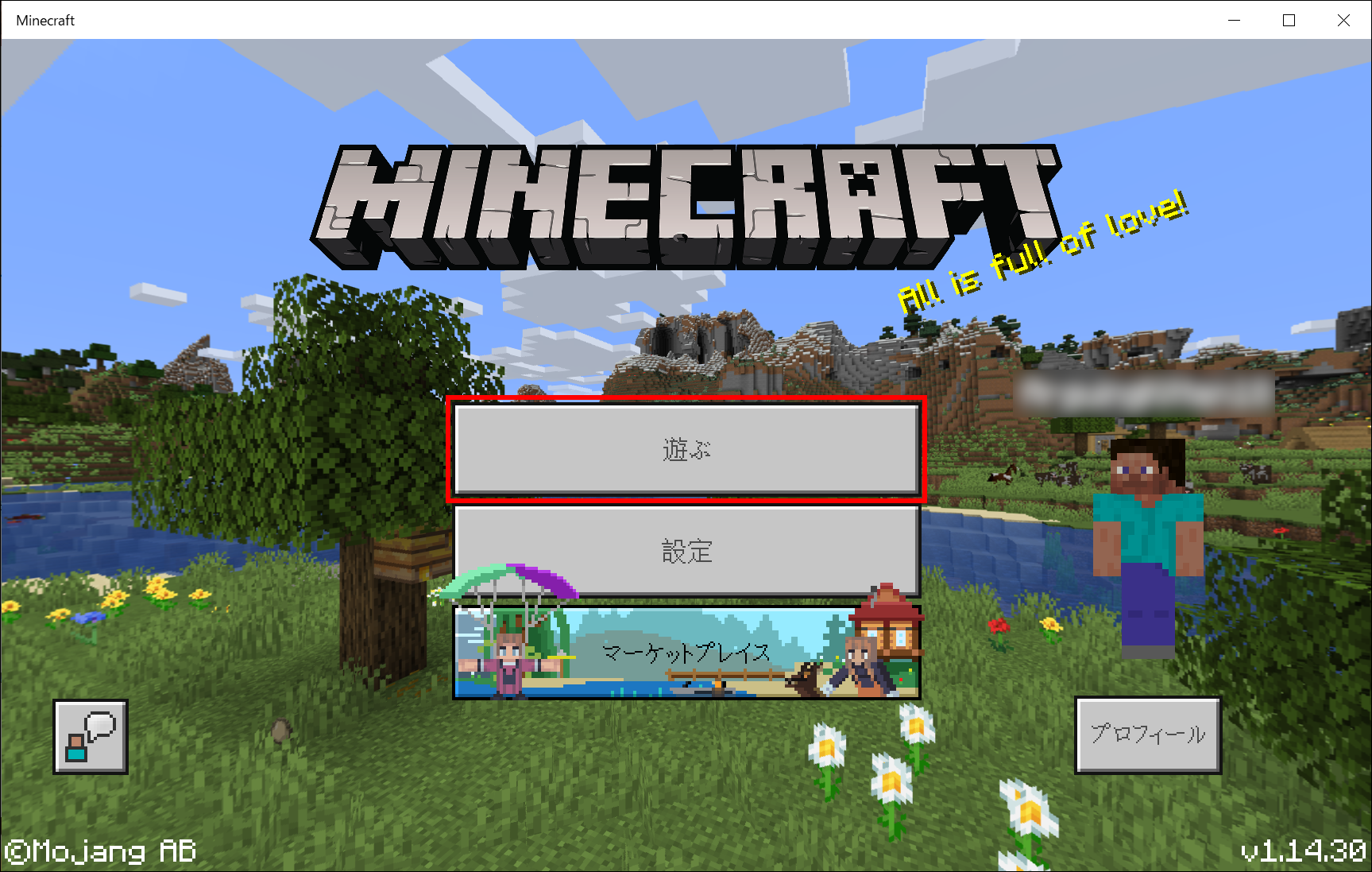 IPv4アドレスの確認