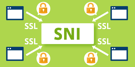 00_sni_catch_1
