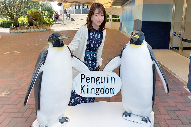 f:id:sakumaga:20191211104251j:plain