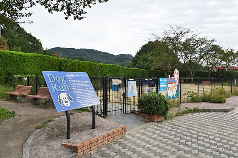 f:id:sakumaga:20191220162515j:plain