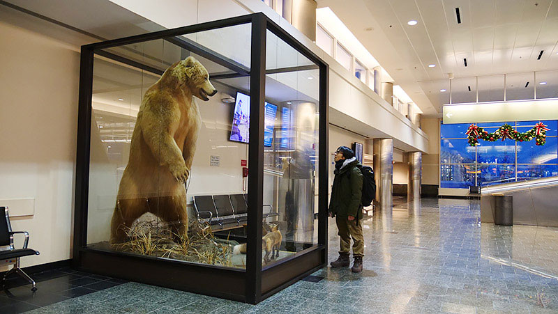 f:id:sakumaga:20200327182013j:plain