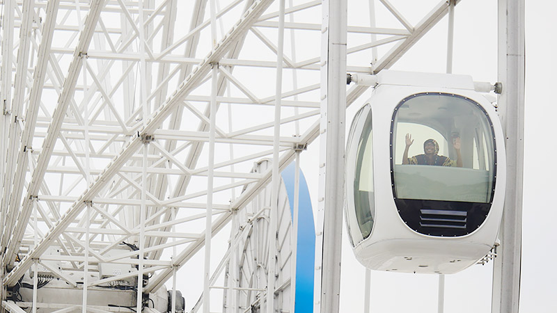 どうもこの記事を書いている地主です