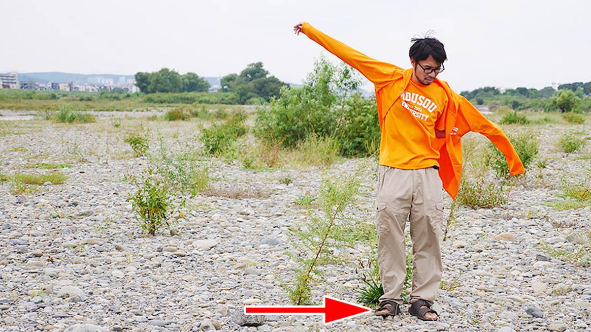 このスリッパを私は5足持っています！