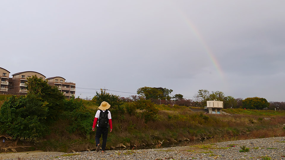 マダムみたいな麦わら帽子だな、と思いながら帰りました