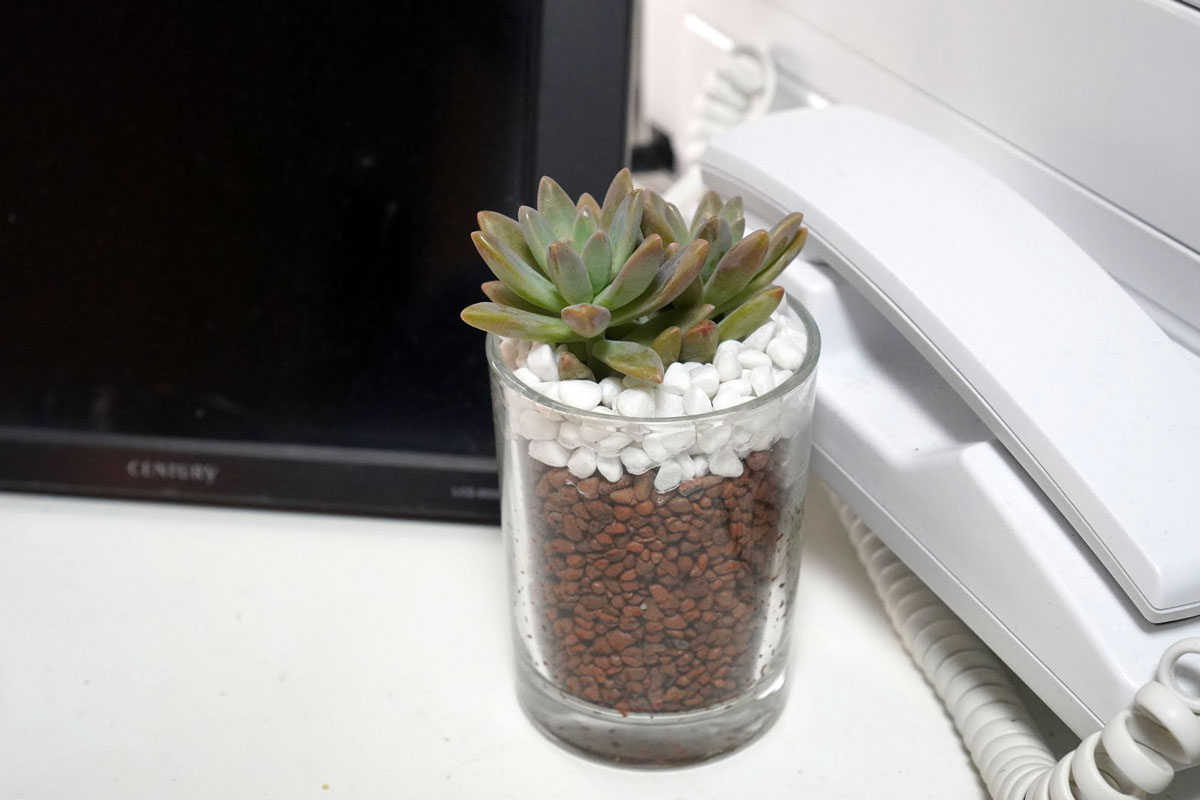 大きさも丁度いい