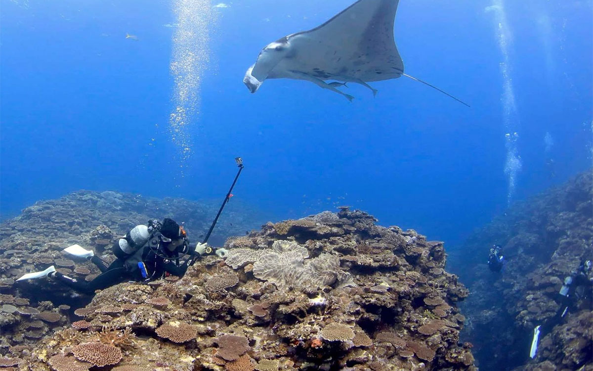 長期休暇でおこなったダイビング