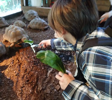 プロフィールアイコン