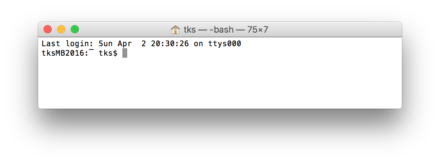 Mac ターミナルでの接続成功画面