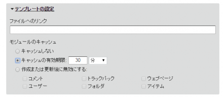 テンプレートのキャッシュ設定