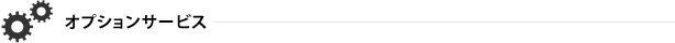 オプションサービス