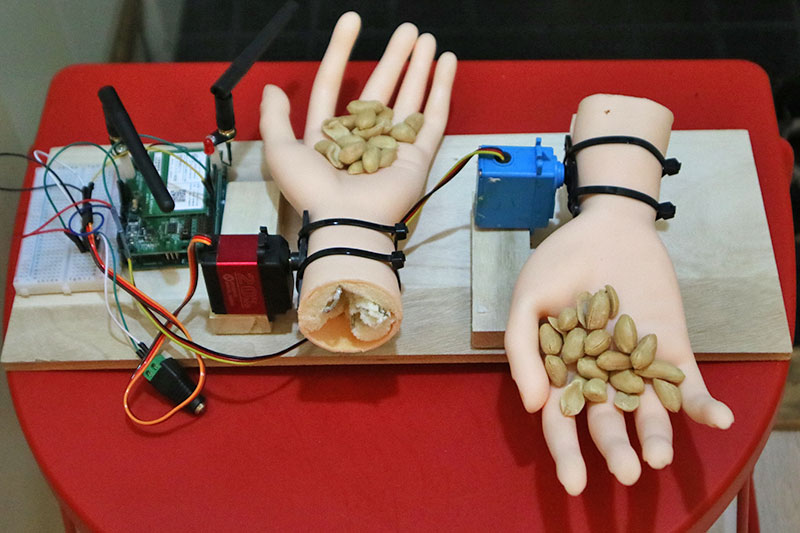 f:id:sakumaga:20200129103209j:plain f:id:sakumaga:20200129103209j:plain