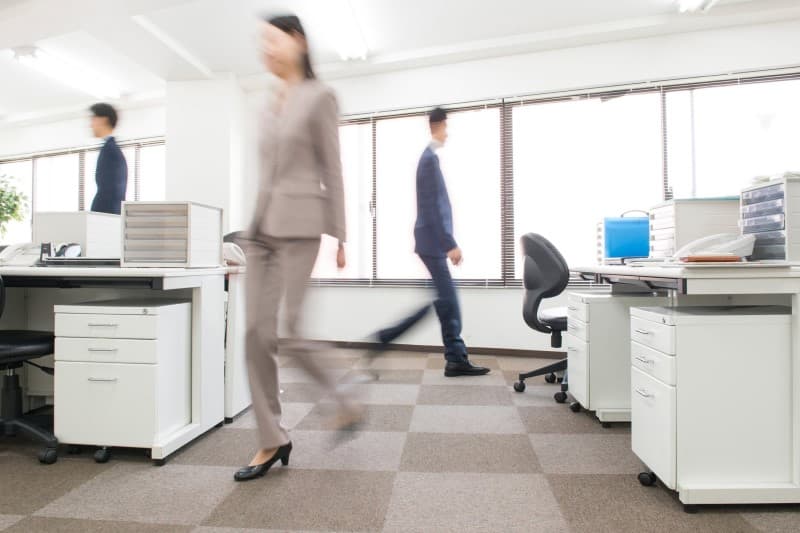 猫を被ることにした