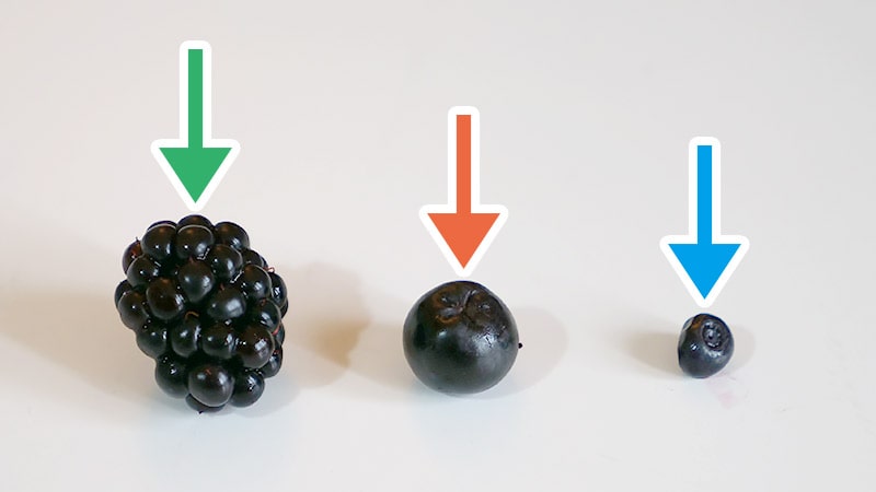 真ん中か右がブルーベリーではないかと