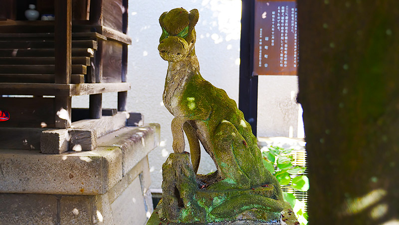 これもオオカミの狛犬(東京杉並区・宿町御嶽神社)