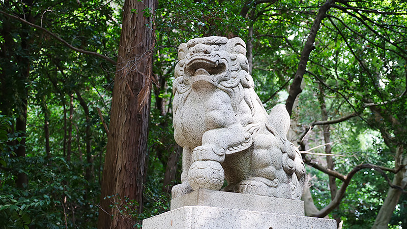 普通の狛犬