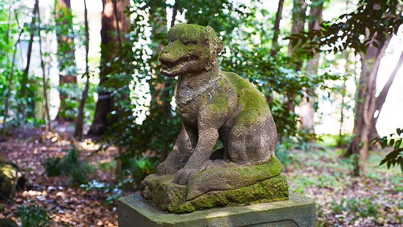 オオカミの狛犬(東京練馬区・土支田八幡宮)