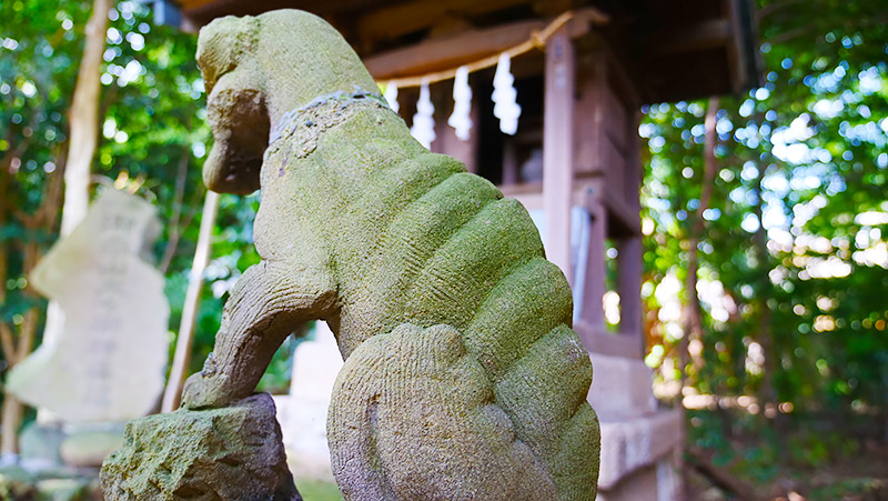 ボンレスハムみたいでしょ!