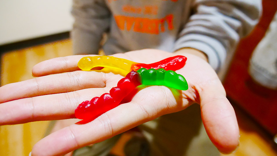 これがBass Pro Shopsで買った、ワーム風のグミ!