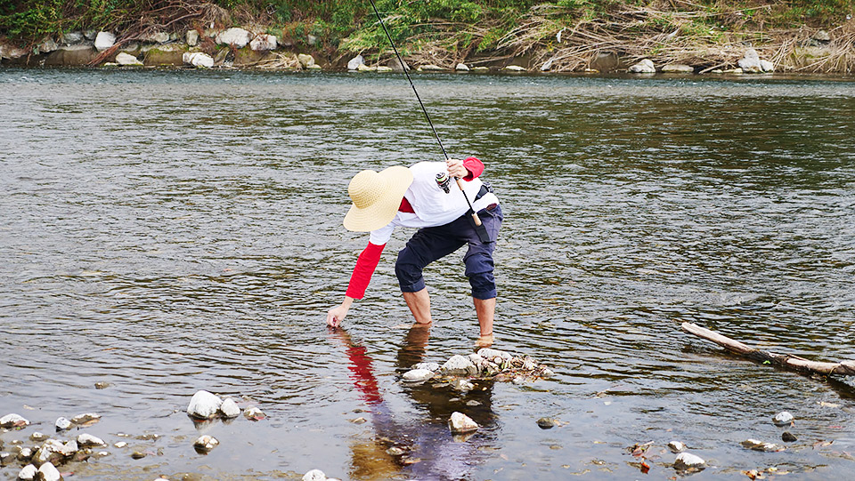 取りに行きました!