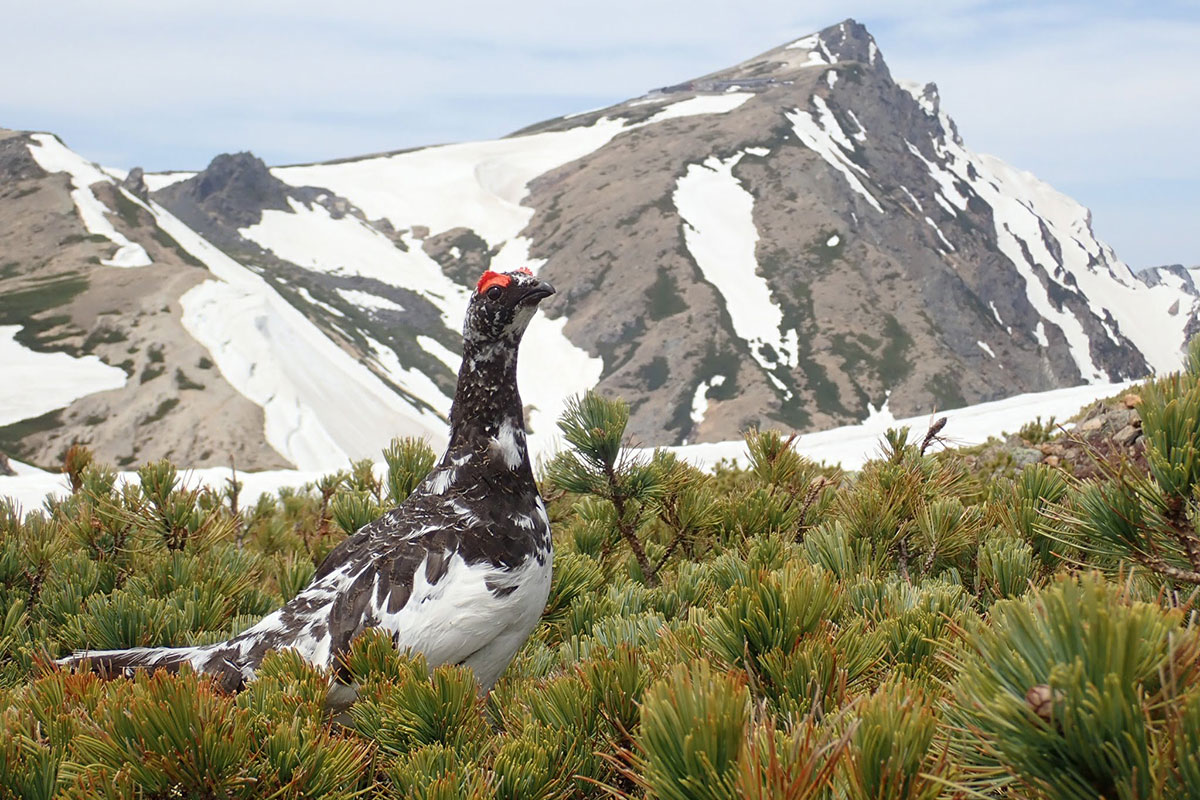 山で撮影した写真