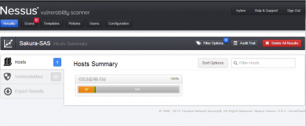 図16 発見された脆弱性の概要(サマリ)ページ