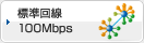 標準回線100Mbps