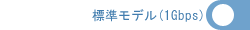標準モデル(1Gbps)オン