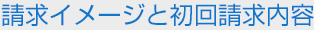 請求イメージと初回請求内容