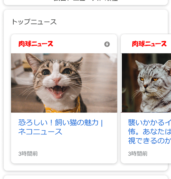 AMPに対応したページのイメージ画像