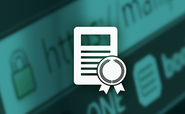 1枚で複数サイトを常時SSL化！ワイルドカード証明書やマルチドメイン証明書とは