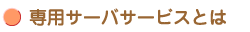 専用サーバサービスとは
