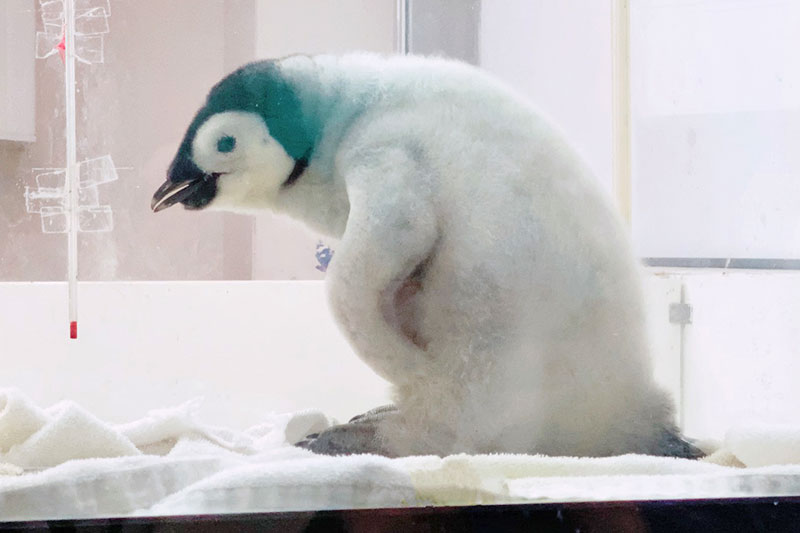 f:id:sakumaga:20191211104211j:plain f:id:sakumaga:20191211104211j:plain