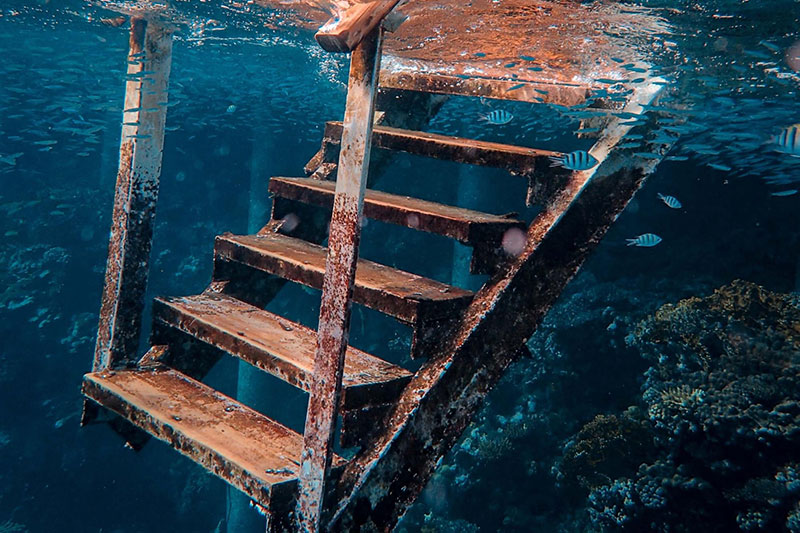 新卒で入った会社には階級制度があった。Aランクに恋をしたEランクの同僚。