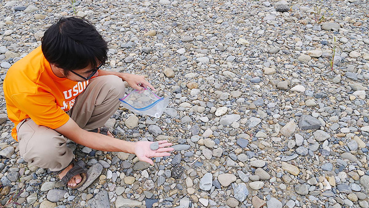 こういうのを、