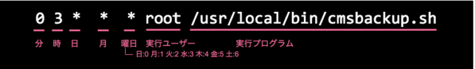 crontab解説