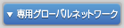 専用グローバルネットワーク