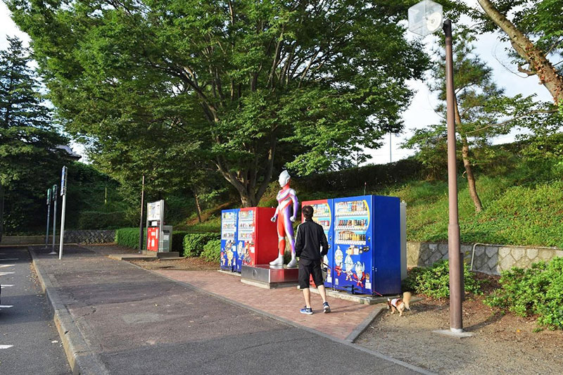 f:id:sakumaga:20200221150300j:plain f:id:sakumaga:20200221150300j:plain