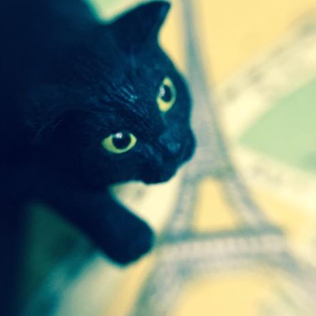 プロフィールアイコン