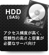 HDD(SAS)